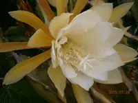 P7280922.webp
