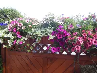 a_DSCN1824.webp
