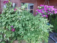 a_DSCN1827.webp