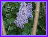 019.webp
