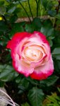 20150628_104238.jpg