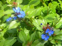 DSCN9703.webp
