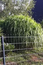 Foto-2.webp