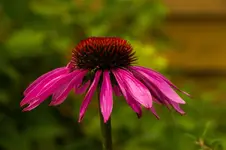 W 15-07-15-5791.webp