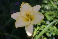 No Name 410_4.webp