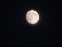 DSCN8245.webp