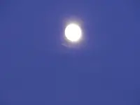 DSCN8249.webp