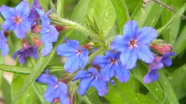 DSCN4637.webp