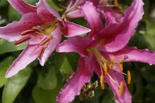 _DSC8898.webp