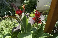 _DSC8875.webp