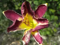 DSCN9725.webp