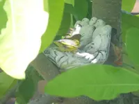 DSCF9153.webp