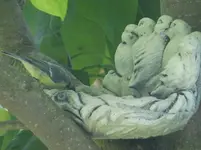 DSCF9165.webp