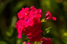 W 15-07-15-5803.webp