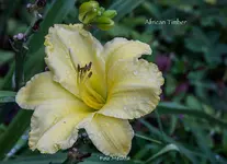 IMG_3307.jpg