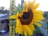 20150730_204927.webp