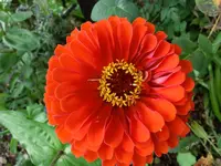 CIMG1226.webp