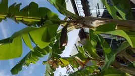 20150728_172523.webp