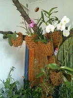 DSC00020.webp