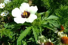 DSCF3102.webp