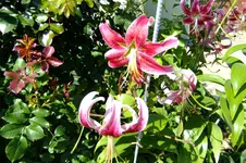DSCF3105.webp