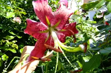 DSCF3103.webp