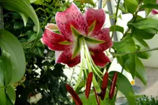 DSCF3082.webp