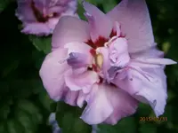 P7310967.webp