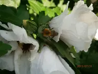 P7310980.webp