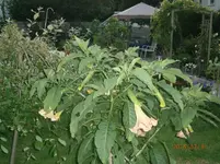 P7310983.webp