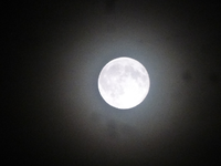 P1480408.webp