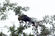 DSCF2518 (2).webp