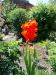 IMG_20150801_133647.jpg
