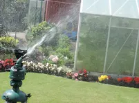 DSCN4422.webp