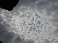 DSCF9335.webp