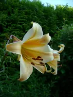 DSCI3715.webp