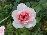 DSCFald2l.webp