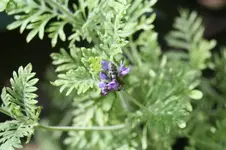 IMG_8997-001.webp