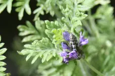 IMG_8997-002.webp