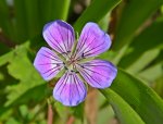 DSC_5045.jpg