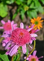DSC_5041.webp