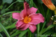 DSC_5013.webp