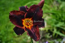 DSC_5014.webp