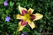 DSC_5022.webp