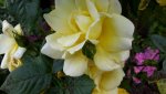 20150802_170546.jpg