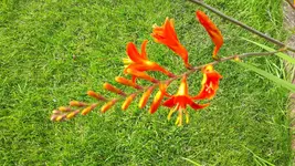 20150802_170919.webp