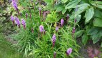 20150802_170646.jpg