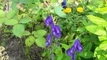20150802_170703.jpg