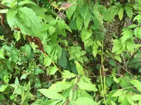 IMG_6837.webp