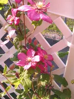 IMG_6683.webp